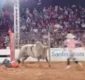 
                  Peão morre após ser pisoteado por touro durante rodeio