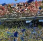 
                  Final da Libertadores entre River e Boca será na Europa
