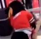 
                  Vídeo: torcedor é agredido com socos por mascote do próprio time