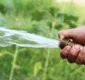 
                  Além do óbvio: maneiras pouco conhecidas para economizar água