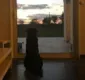 
                  Irmã posta foto de cachorro esperando a volta de Sala