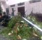 
                  Veja vídeos do temporal que deixou pelo menos 5 pessoas mortas