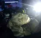 
                  Pit bull 'sequestra' viatura e devora lanche dos policiais