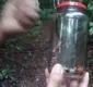 
                  Cobra é encontrada dentro de uma creche na Bahia