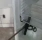 
                  Mulher encontra cobra dentro de geladeira