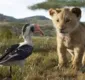 
                  Remake de 'O Rei Leão' parece um documentário do Animal Planet