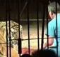 
                  Tigres atacam e matam domador durante treinamento de circo