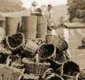 
                  Vinhos de Itaparica: pioneira no cultivo da uva no Brasil