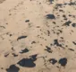 
                  Veja os riscos das manchas de óleo nas praias para a pele