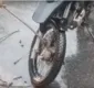 
                  Cobra é encontrada presa em pneu de motocicleta; veja vídeos