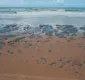 
                  O que acontece com o óleo retirado das praias baianas?