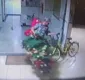 
                  Homem invade prédio, furta árvore de natal e foge em bicicleta