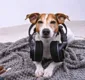 
                  Spotify lança playlists para cachorros que ficam sozinhos em casa
