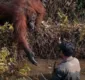
                  Orangotango estende a mão para 'salvar' homem em rio com cobras