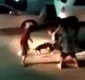 
                  Pitbulls atacam cão de idosa até a morte no Rio Vermelho