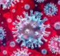 
                  Ministério da Saúde confirma 1 caso de coronavírus no Brasil