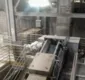 
                  Homem morre após cair dentro de máquina de misturar fertilizantes