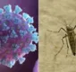 
                  Infecção por coronavírus e dengue ao mesmo tempo é possível