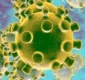 
                  Coronavírus: Brasil já confirma transmissão local do novo vírus