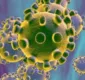 
                  Sobe para 19 o número de casos confirmados do coronavírus no país