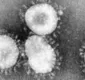 
                  Bahia confirma primeiro caso do novo coronavírus