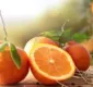
                  Cinco frutas cítricas que você deve consumir com frequência