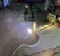 
                  Vídeo mostra manobra arriscada para capturar cobra de 4 metros