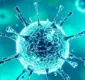 
                  Quais assuntos relacionados ao coronavírus podem cair no Enem?