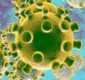 
                  Coronavírus chegou ao Brasil em janeiro, diz Ministério da Saúde