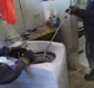
                  Bombeiros resgatam cobra em máquina de lavar na Bahia; veja fotos
