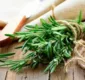 
                  Conheça benefícios ao consumir a erva alecrim na alimentação
