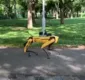 
                  Cão robô afasta pessoas que não respeitam quarentena