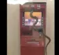 
                  Cobra invade banco, entra em caixa eletrônico e assusta clientes