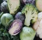 
                  Conheça os benefícios de consumir hortaliças brássicas