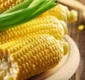 
                  Seis razões para consumir milho regularmente