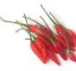 
                  Entenda a relação entre o ardor e os benefícios da pimenta