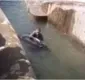 
                  Homem pula em cercado de ursa e tenta afogar animal; veja vídeo