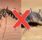 
                  Saiba como diferenciar o mosquito da dengue da muriçoca