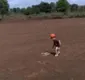 
                  Criança tenta segurar cobra-rei e pai corre para separar