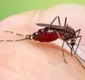 
                  Dengue: as principais dúvidas e respostas sobre o assunto