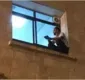 
                  Homem escala parede de hospital para se despedir da mãe com Covid