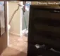 
                  Homem abre vaso sanitário de casa e encontra cobra de 2 metros