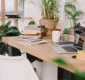 
                  Confira as plantas ideais para decorar seu espaço de trabalho