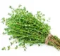 
                  Conheça seis benefícios ao consumir a erva tomilho no dia a dia