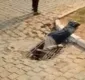 
                  Homem fica ferido após cair em buraco de uma galeria de água