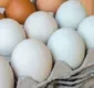 
                  13 alimentos para substituir o ovo no cardápio e nas receitas