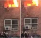 
                  Gato pula de janela de prédio para escapar de incêndio; assista