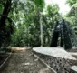 
                  Jardim Botânico de Salvador é reaberto ao público