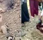 
                  Bebê é salvo por trabalhador rural após ser enterrado vivo; vídeo