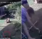 
                  Mulher luta 'desesperadamente' com cobra para salvar seu cãozinho